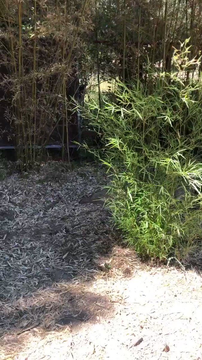 Tweet image 1