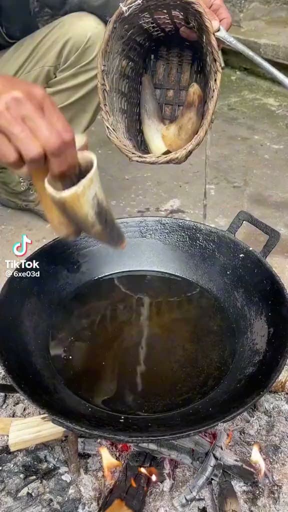 Quoted tweet image 1