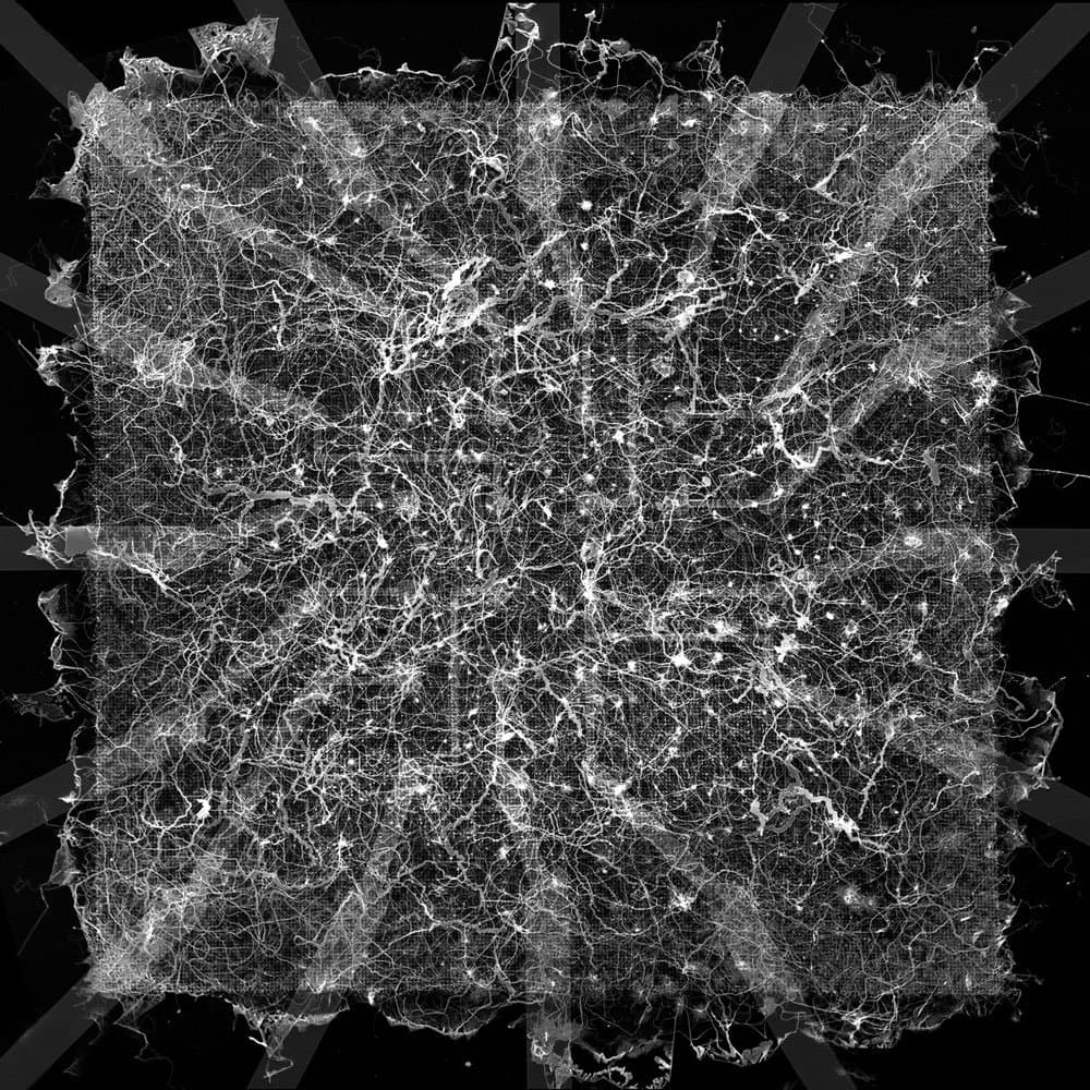 Tweet image 1
