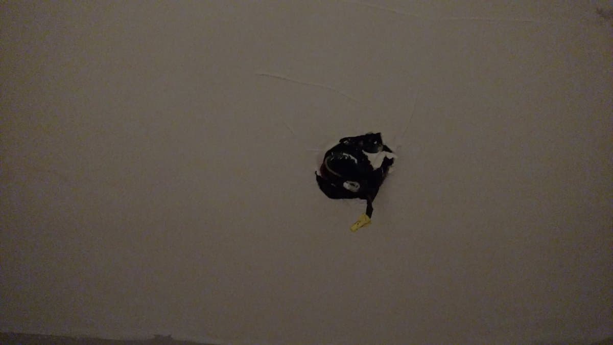 Tweet image 1