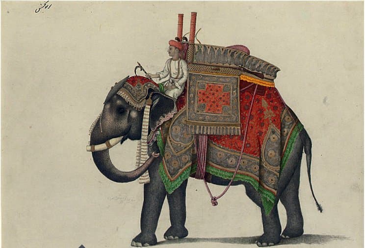 Tweet image 1