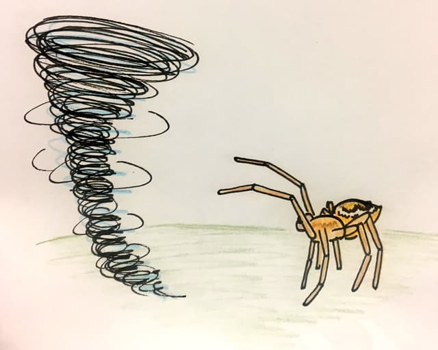 Quoted tweet image 1