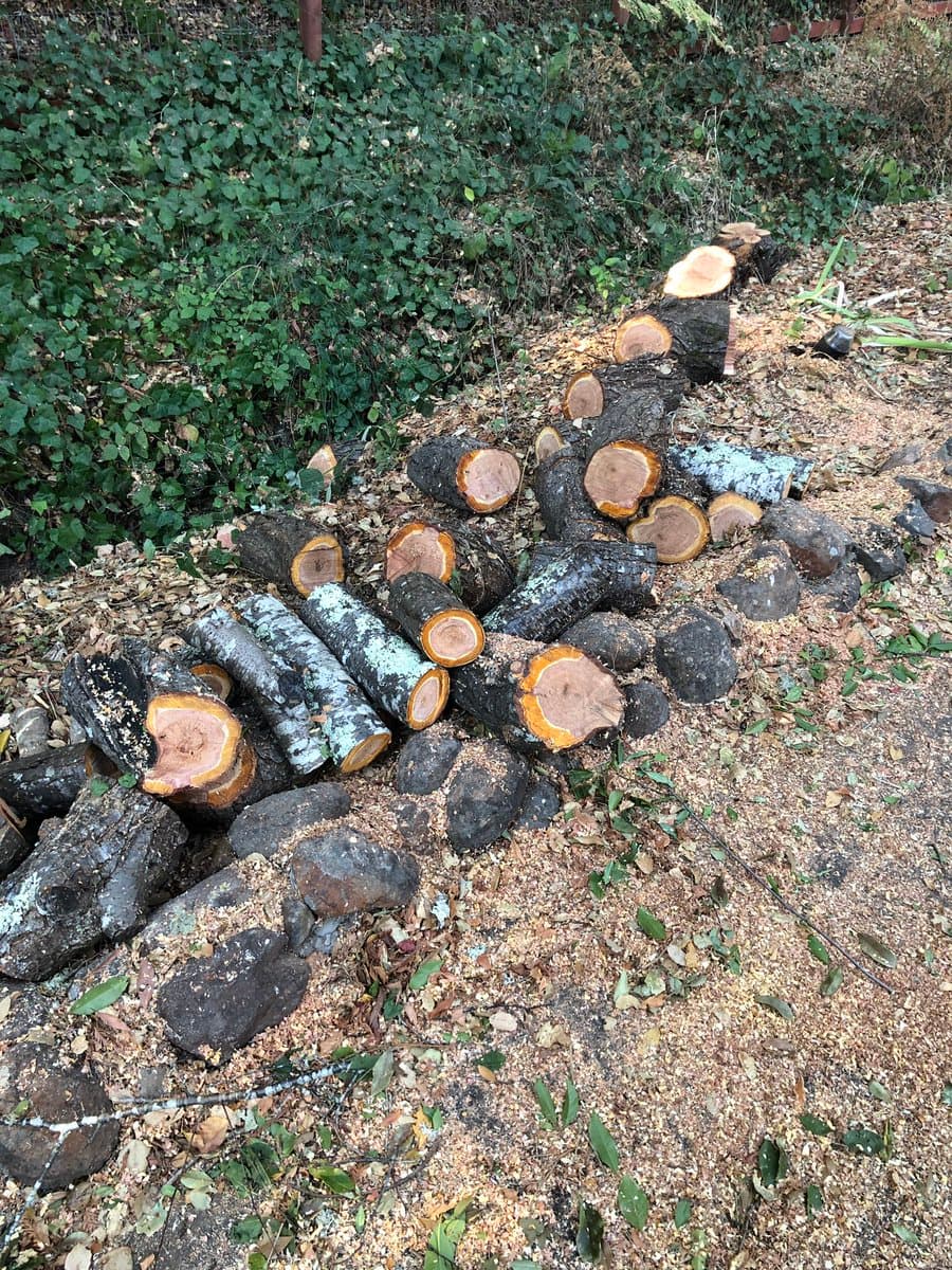Tweet image 1
