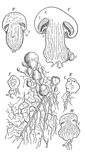 Tweet image 1