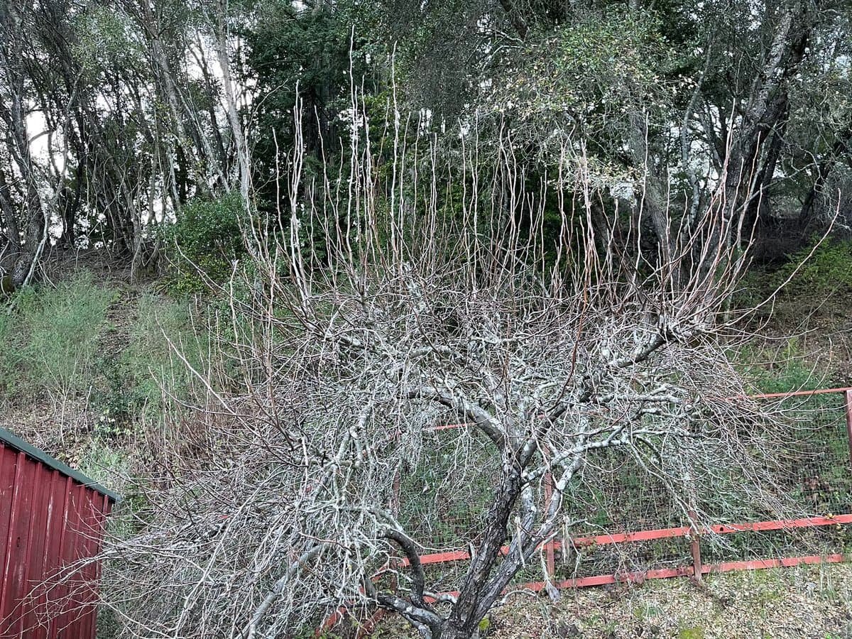 Tweet image 1