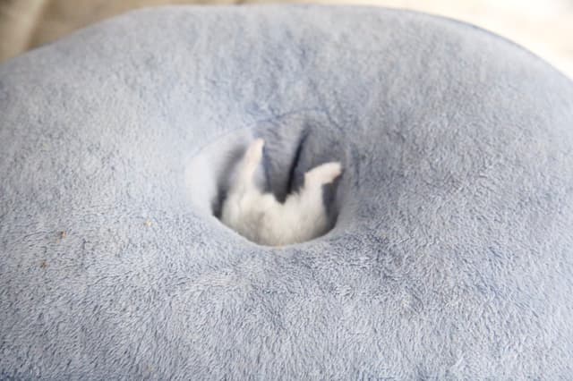 Quoted tweet image 2