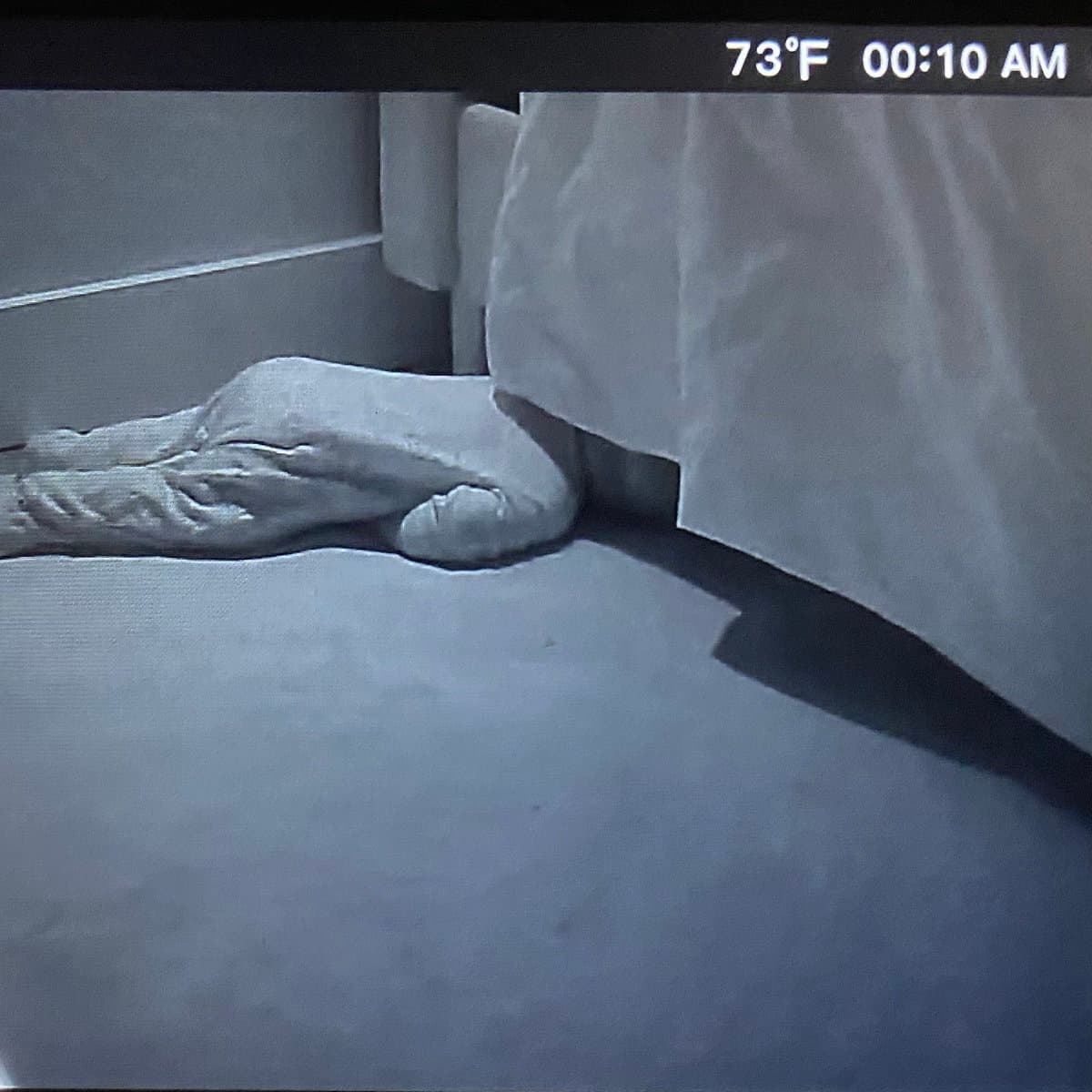 Tweet image 1