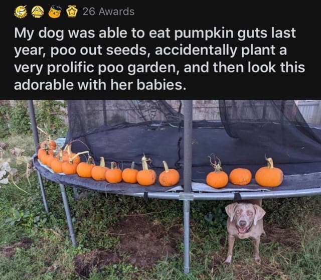 Quoted tweet image 1