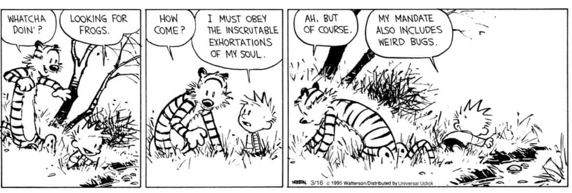 Tweet image 1