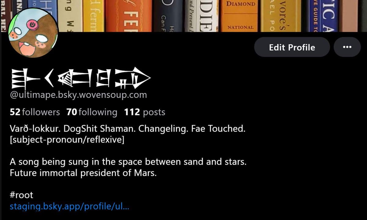 Tweet image 1