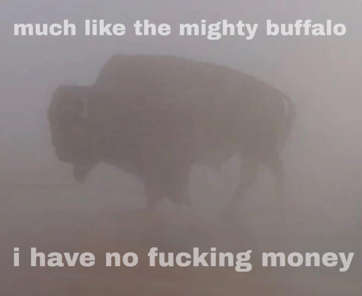 Tweet image 1