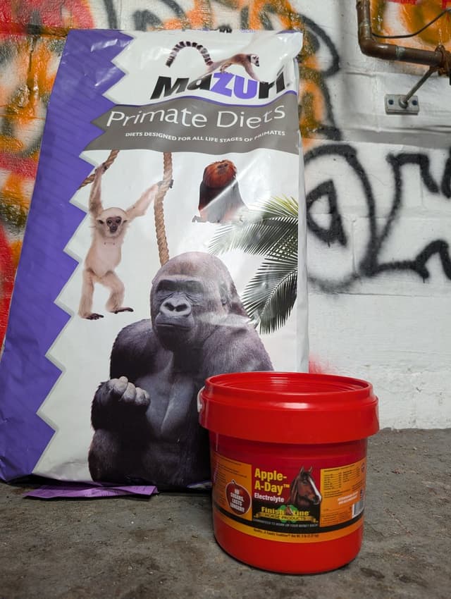 Quoted tweet image 1