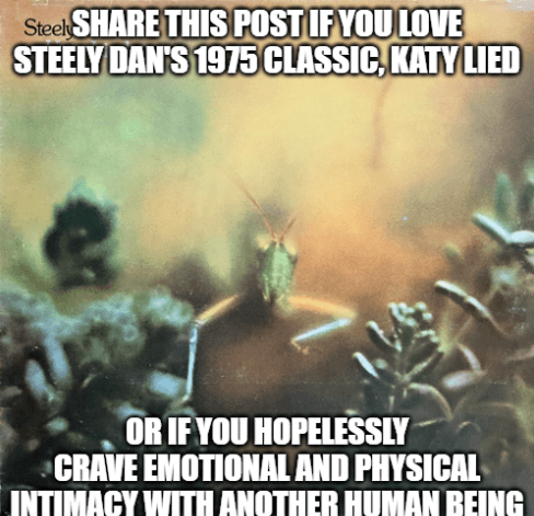 Tweet image 1