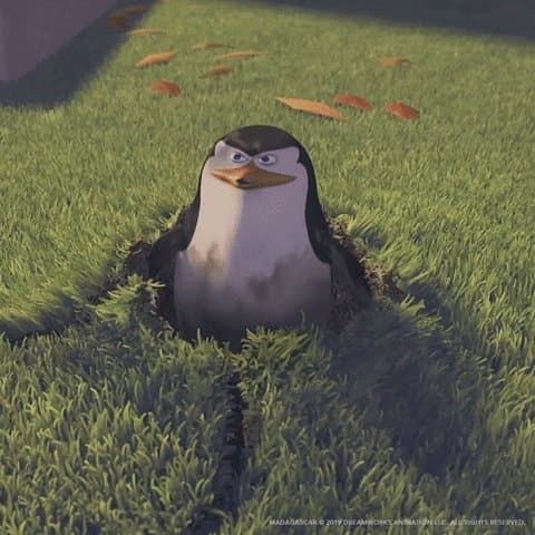 Tweet image 1