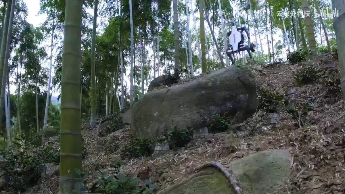 Tweet image 1