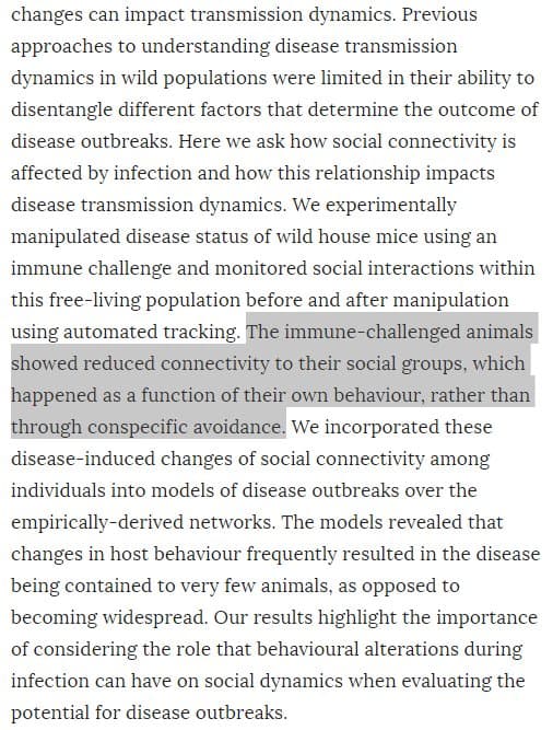 Quoted tweet image 1