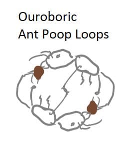 Quoted tweet image 1