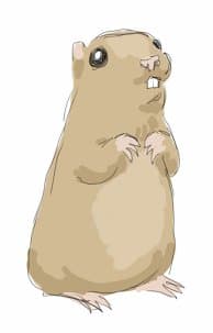 Quoted tweet image 1