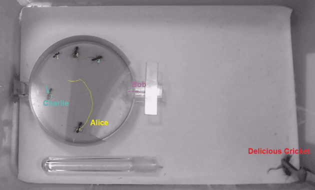 Quoted tweet image 1