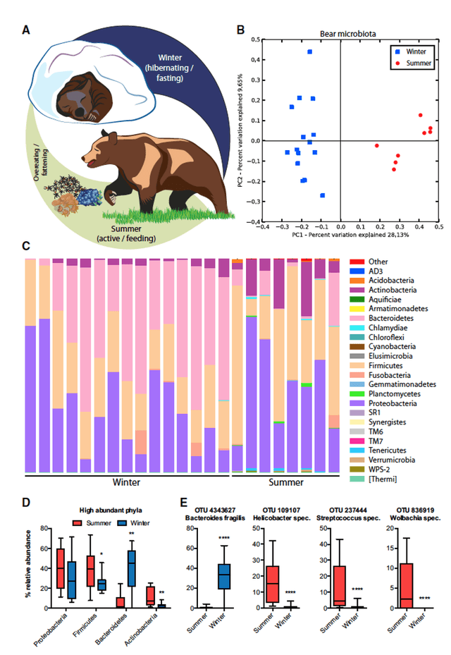 Quoted tweet image 2