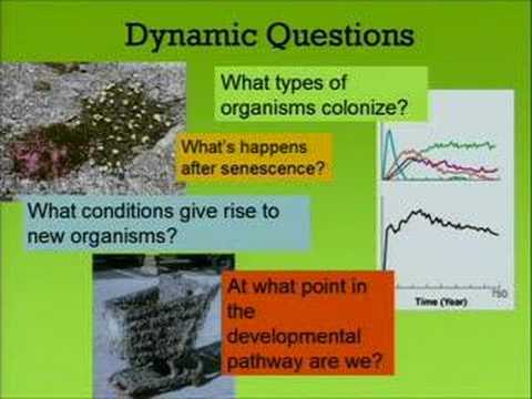 Quoted tweet image 1