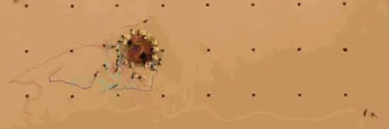 Quoted tweet image 1