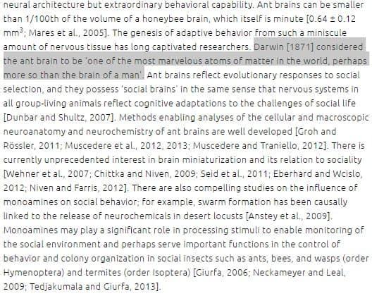 Quoted tweet image 1