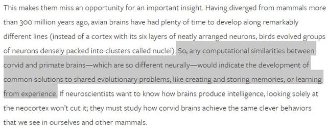 Quoted tweet image 1