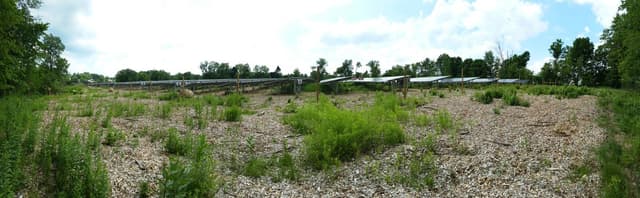 Quoted tweet image 1