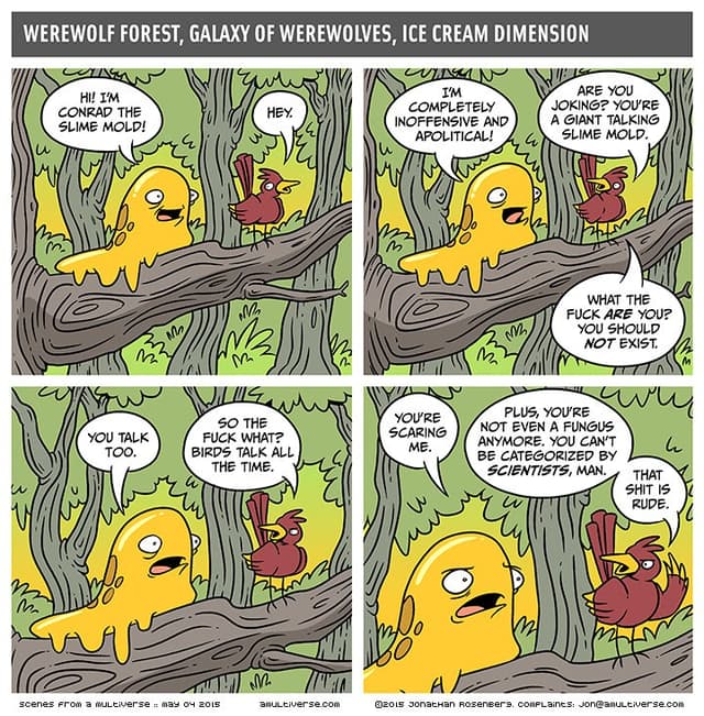 Quoted tweet image 1