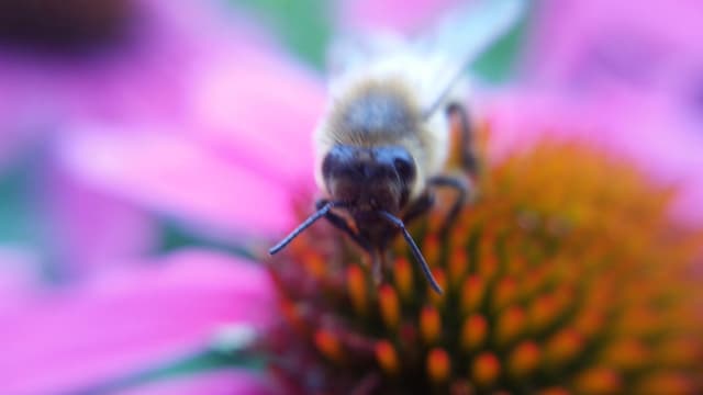 Quoted tweet image 3