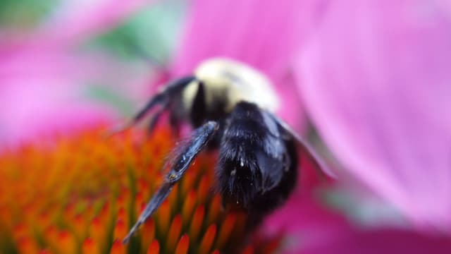 Quoted tweet image 4