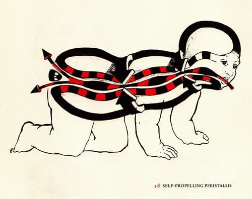 Quoted tweet image 1