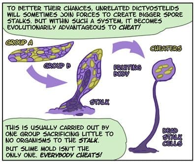 Quoted tweet image 1