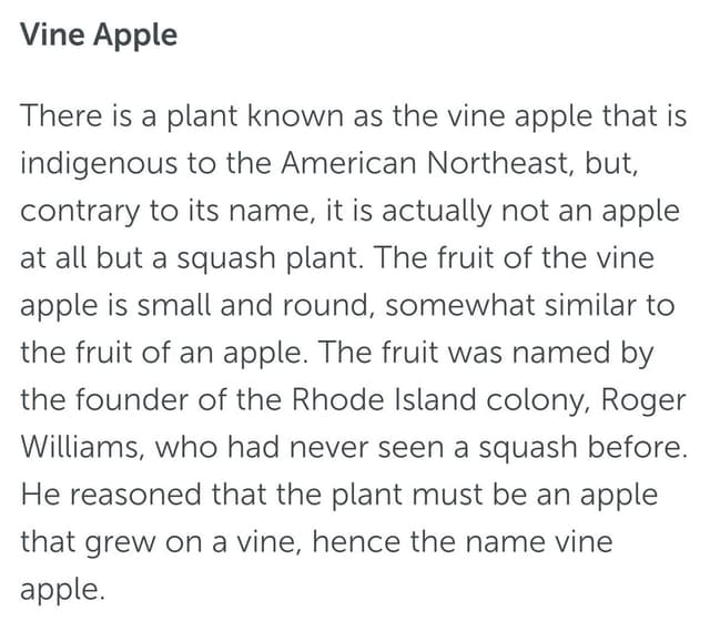 Quoted tweet image 1