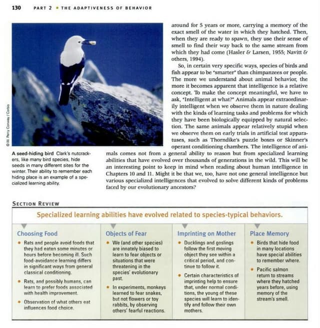 Quoted tweet image 1