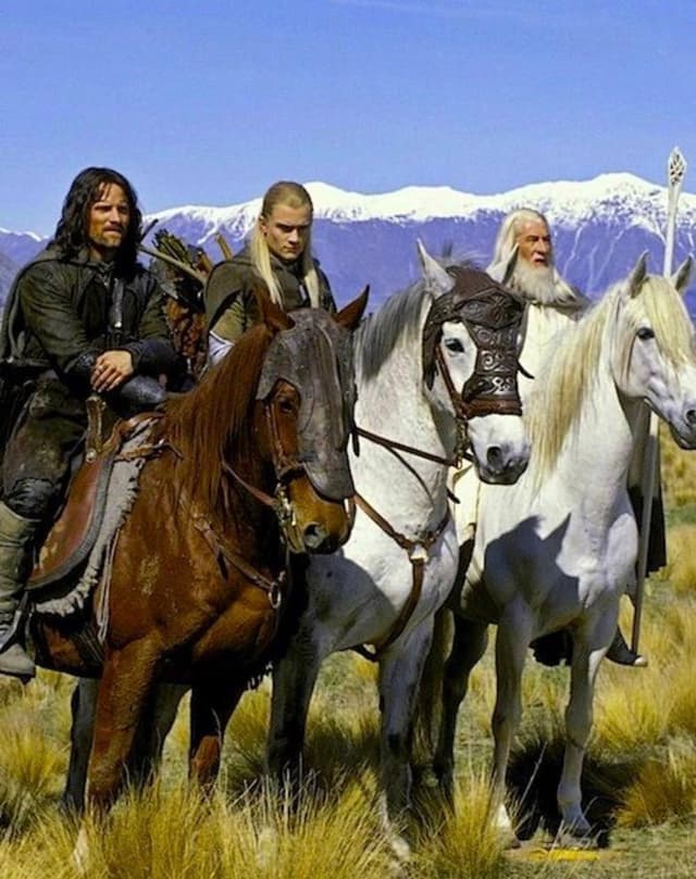 Quoted tweet image 1