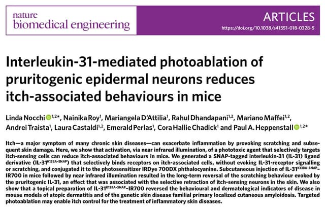 Quoted tweet image 2