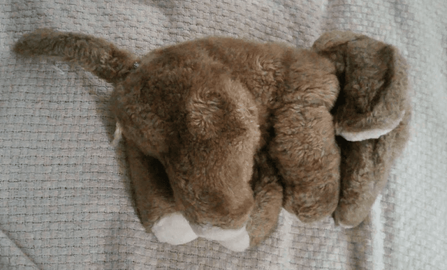 Quoted tweet image 2