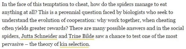 Quoted tweet image 1