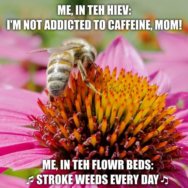 Quoted tweet image 1