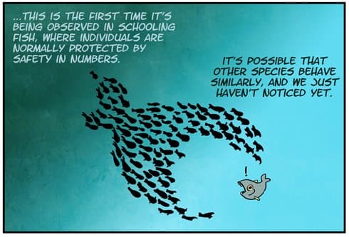 Quoted tweet image 1