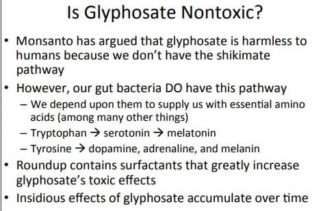 Quoted tweet image 1