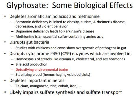 Quoted tweet image 2