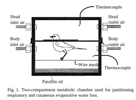 Quoted tweet image 1