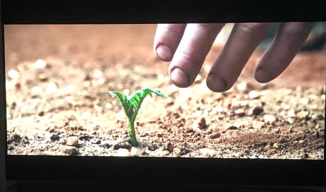 Quoted tweet image 1