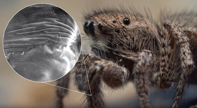 Quoted tweet image 1