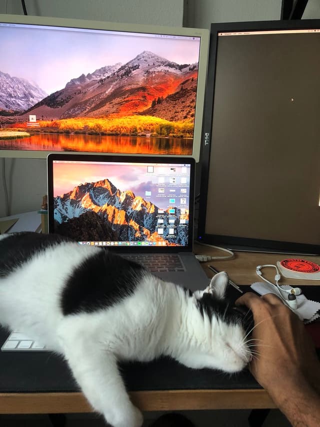 Quoted tweet image 1