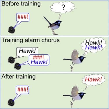 Quoted tweet image 1