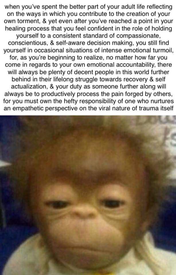 Quoted tweet image 1